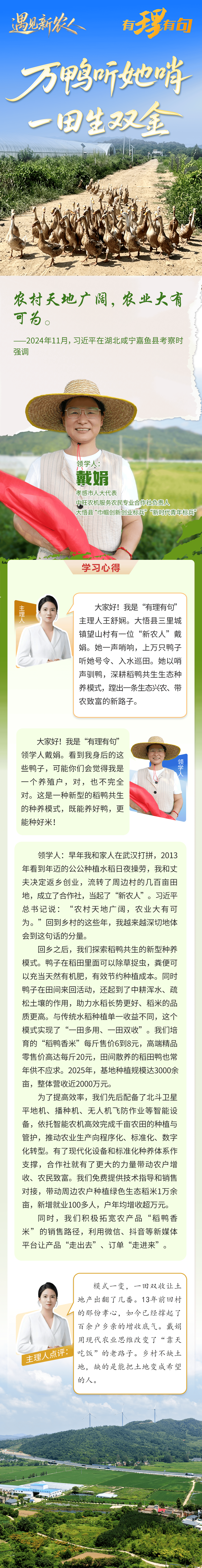 戴娟 图解.png.png