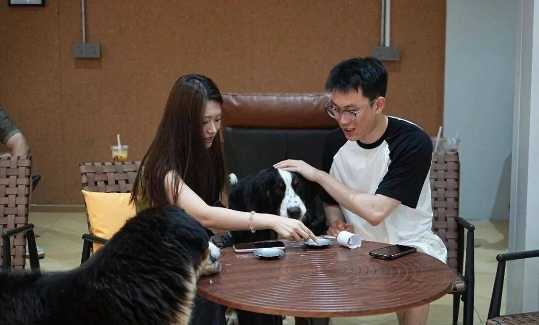 ͼƬ