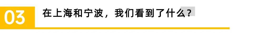 向强者