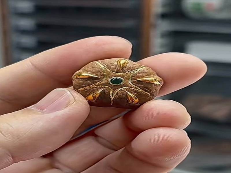 五星菩提品类科普 文玩菩提选购常识