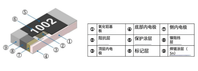 Article Image-1