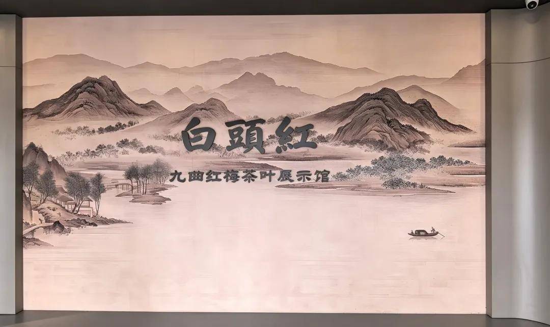 聚焦非遗活态传承 调研九曲红梅茶文化建设 —— 浙江省茶叶产业协会副会长刁学刚一行考察九曲红梅茶叶展示馆