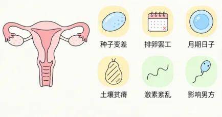 备孕迟迟怀不上？很多人卡在了这个“体型”上！