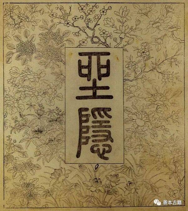 文章配图-3