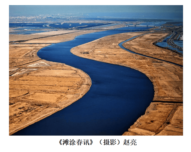 文章配图-16