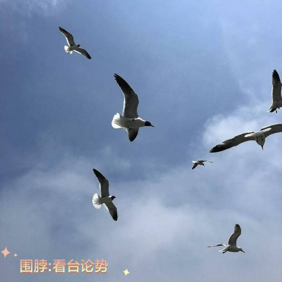 马泰奥-德比亚焦