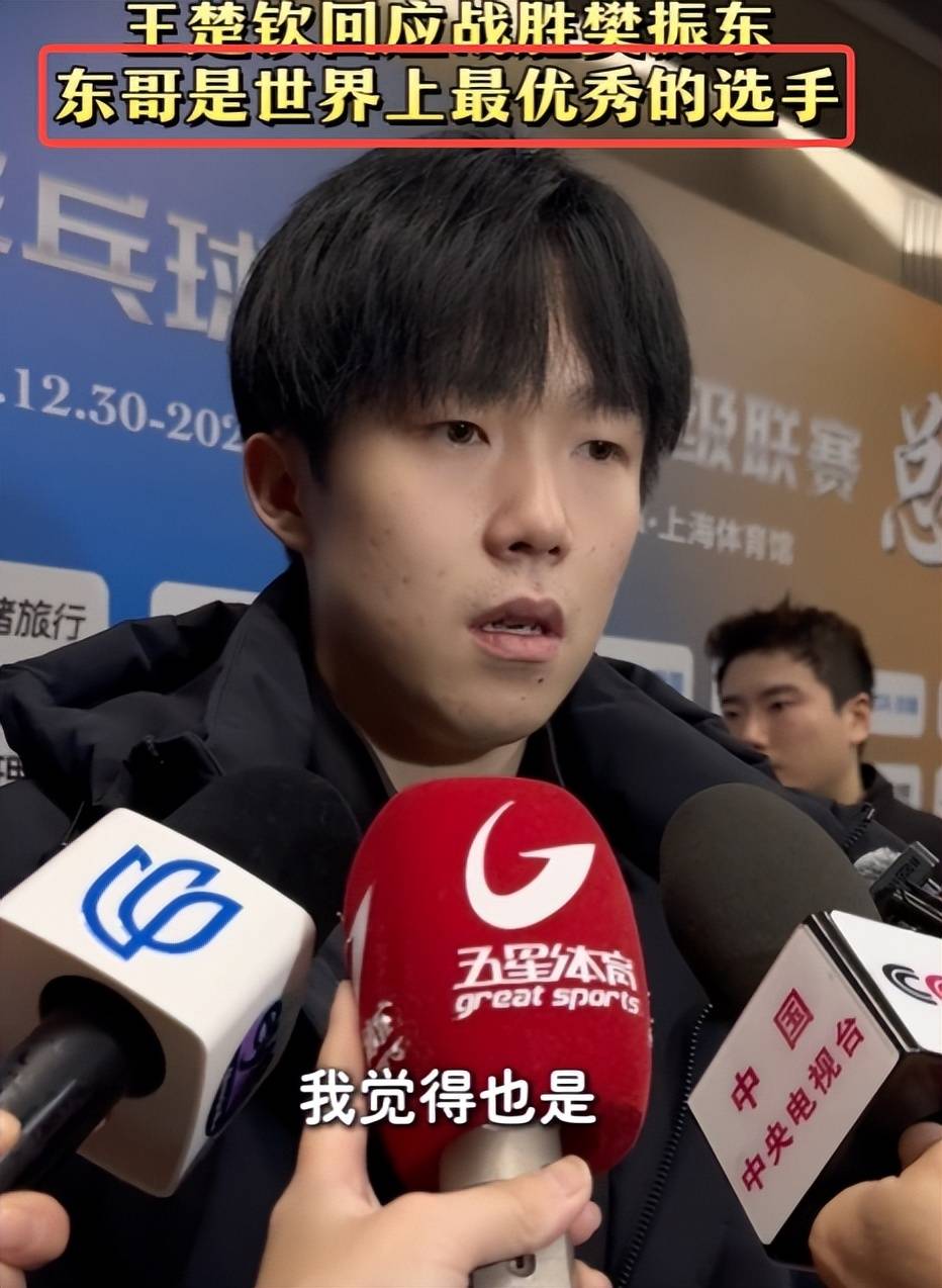 樊振东