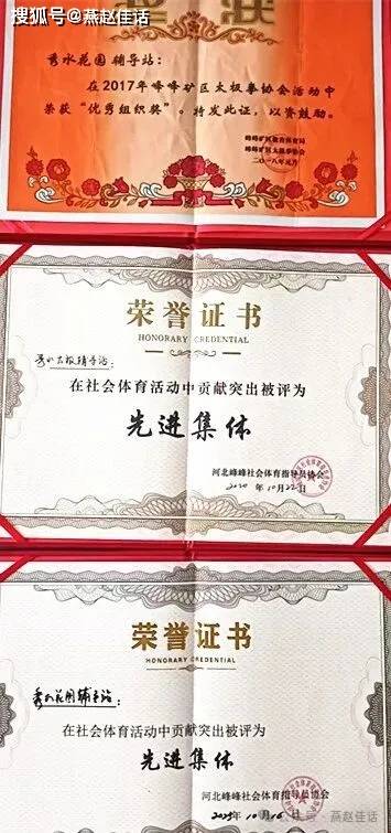 峰峰武协各分会专访(六)秀水花园太极拳分会专场演出(图3)