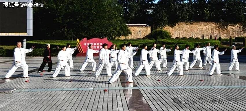 峰峰武协各分会专访(六)秀水花园太极拳分会专场演出(图9)