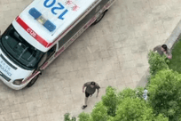 同是幼童坠亡为何一父一母追责不同