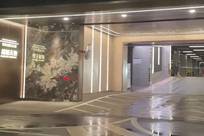 江苏南京3000万豪宅出入口在隧道里，业主：开发商曾承诺隧道为业主私享专属通道，却改为市政公共道路，豪宅梦破灭，如今仅值一千多万元