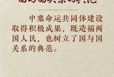 学习新语｜中塞铁杆友谊独树一帜