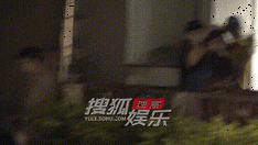 古力娜扎深夜下班 怀抱小狗软萌又温柔