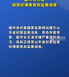 山东省青岛市委常委、副市长王波接受纪律审查和监察调查