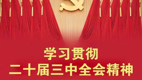 精确集团管理干部组织学习党的二十届三中全会精神