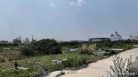 濮阳惠成多个在建项目进度不及预期、投资缩水 或将被终止