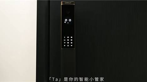 王力 2025 逆势增长解码：生态协同，跨界合作拓宽增长赛道
