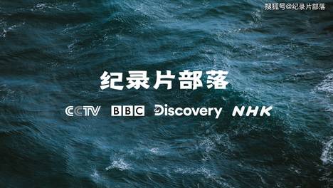 纪录片部落的个人主页