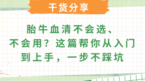 胎牛血清全攻略：从选对到用对，一篇搞定