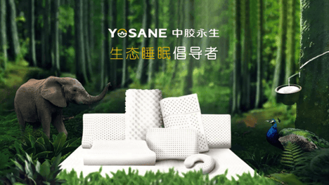 致敬劳动者：中胶永生匠心缔造高品质睡眠