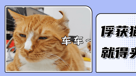 为什么一看到猫，就忍不住夹子音？