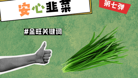 内容配图