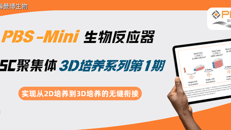 PBS Mini生物反应器中iPSC聚集体3D培养系列1：从2D培养到3D培养的无缝衔接