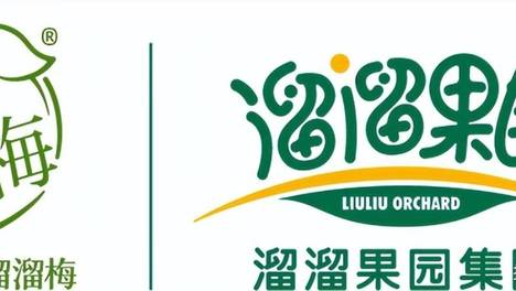年入17亿，梅冻市占45.7%！溜溜梅冲刺港股：一场25年的“酸”味突围