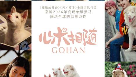 泰国现象级票房黑马《心犬相随》内地定档6月26日 《天才枪手》《姥姥的外孙》团队打造