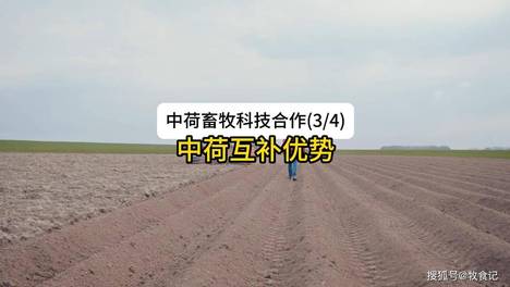 内容配图