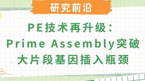 Nature重磅：Prime Assembly实现11 kb大片段DNA精准插入