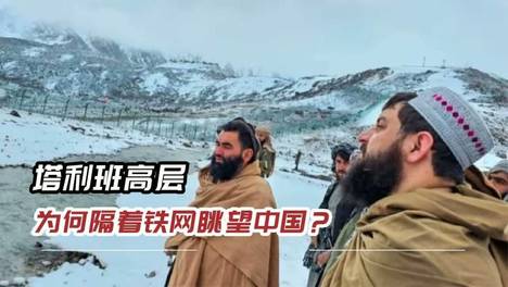 内容配图