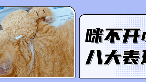 猫咪不开心时，会有哪些表现？
