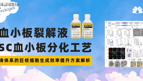 人血小板裂解液（HPL）在iPSC血小板分化工艺中的应用优化