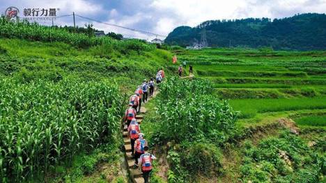 夏木繁盛 步履逐光 | 毅行7月活动集锦