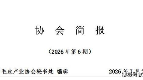 协会简报（2026年第6期）