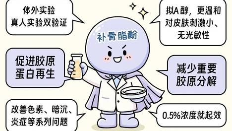 四个新原料“转正”背后，下一轮功效竞赛即将开始