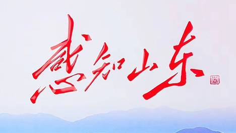 感知山东|济宁任城古槐街道吉祥社区开展“铭记历史 网格强信念”志愿活动