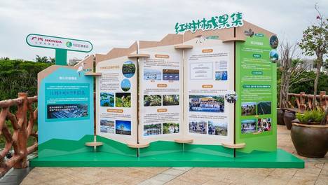 成活率80%、鸟类超15万只 广汽本田红树林保护交出量化答卷