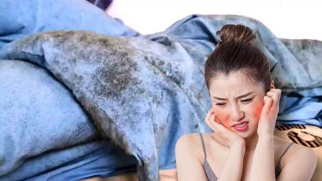 换季拿出被褥惊现发霉！别急着扔，这份“救命指南”请收好