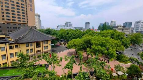 正式开放！湖南路新去处+1