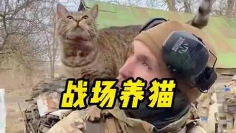 内容配图