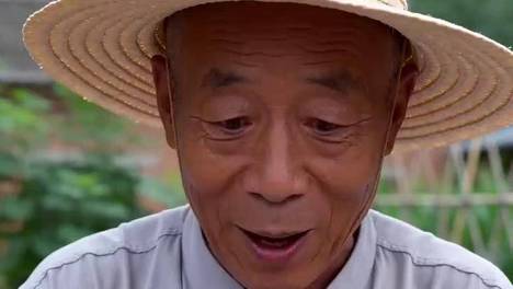 内容配图