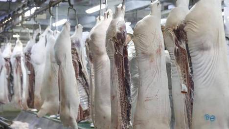 猪肉抗生素超标37.5倍！双汇发展又“栽了”