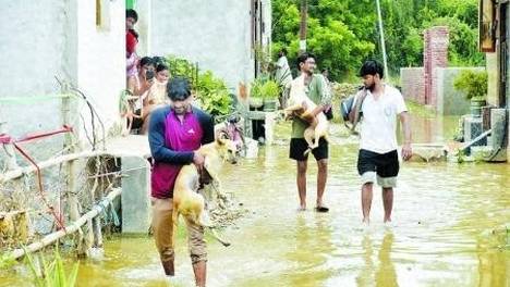 印度暴雨已致25人遇难
