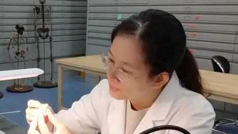 学术资讯|我馆取得重要学术突破:（一）发现多层洞穴留存近百万年生物演化序列（二）填补东亚喀斯特洞穴埋藏学研究空白
