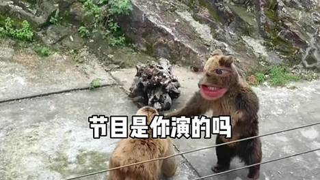 内容配图
