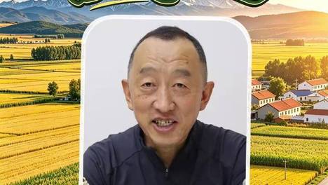 内容配图