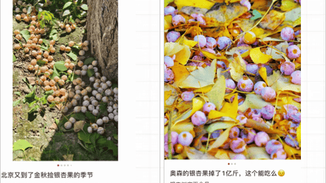 不要吃！不要捡！近期正大量出现