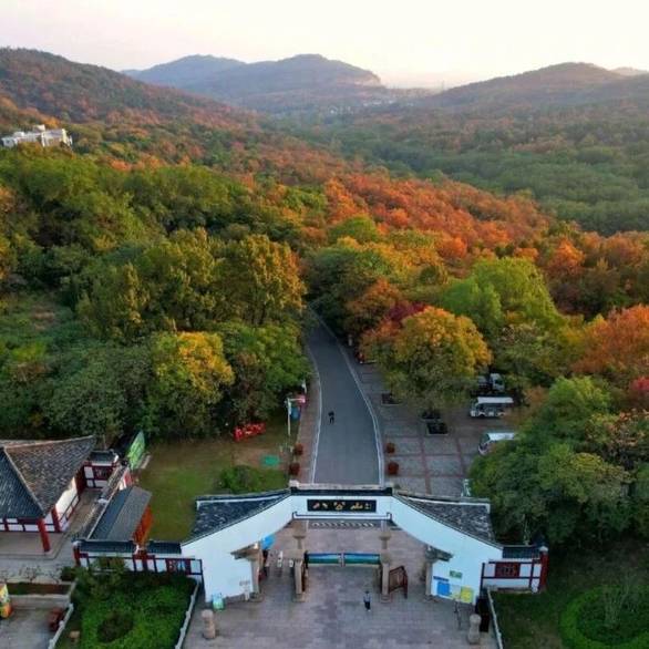 奈雪轻养鲜果茶定义茶饮5.0时代